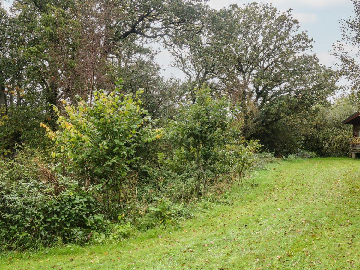 Braeburn Lodge Winkleigh ภายนอก รูปภาพ