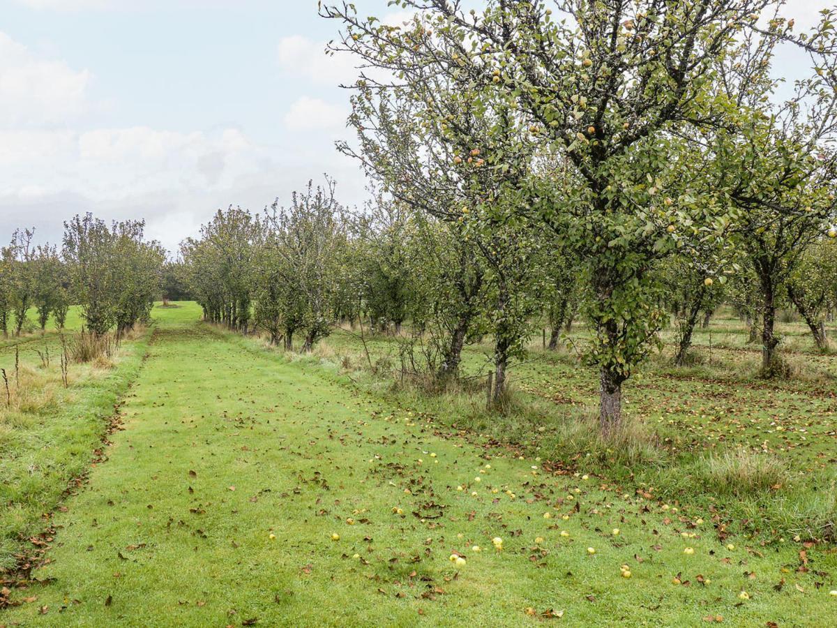 Braeburn Lodge Winkleigh ภายนอก รูปภาพ